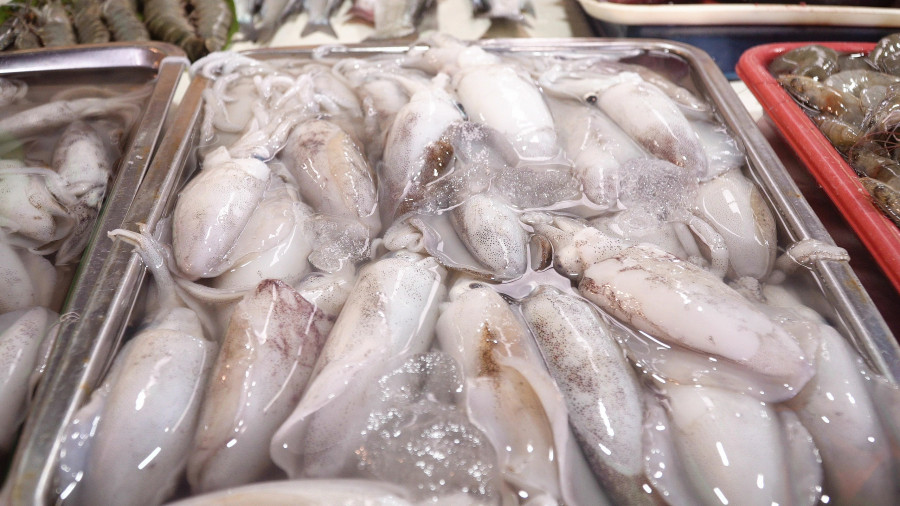 Freshly calamary in fish shop