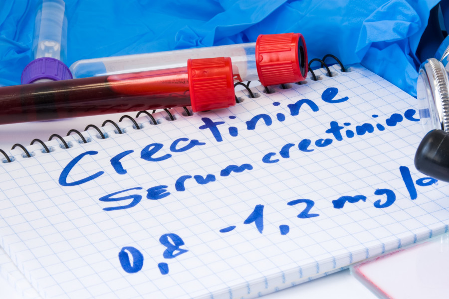 Creatinine-Serum-Basic-Metabolic-Test
